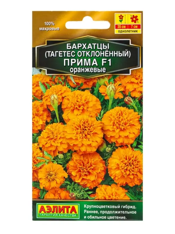 Семена цветов Бархатцы Прима оранжевые F1 отклоненные  Золотая серия, Ц/П,10 шт.