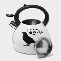 Чайник со свистком из нержавеющей стали Доляна Magic birds, 3 л, с индикатором нагрева, индукция