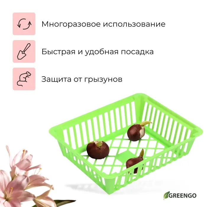 Корзина для луковичных, квадратная, 25&times;20 см, зелёная, Greengo