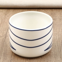 Чайная пара &laquo;Синяя ботаника&raquo;, 200 мл