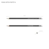 Карандаш чернографитный с ластиком Erich Krause &laquo;Jet Black 101&raquo;, HB, грифель d=2.2 мм, дерево, шестигранный в тубусе, чёрный корпус