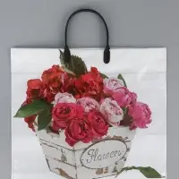 Пакет "Пинк", полиэтиленовый с пластиковой ручкой, 38 х 34 + 3 см, 90 мкм