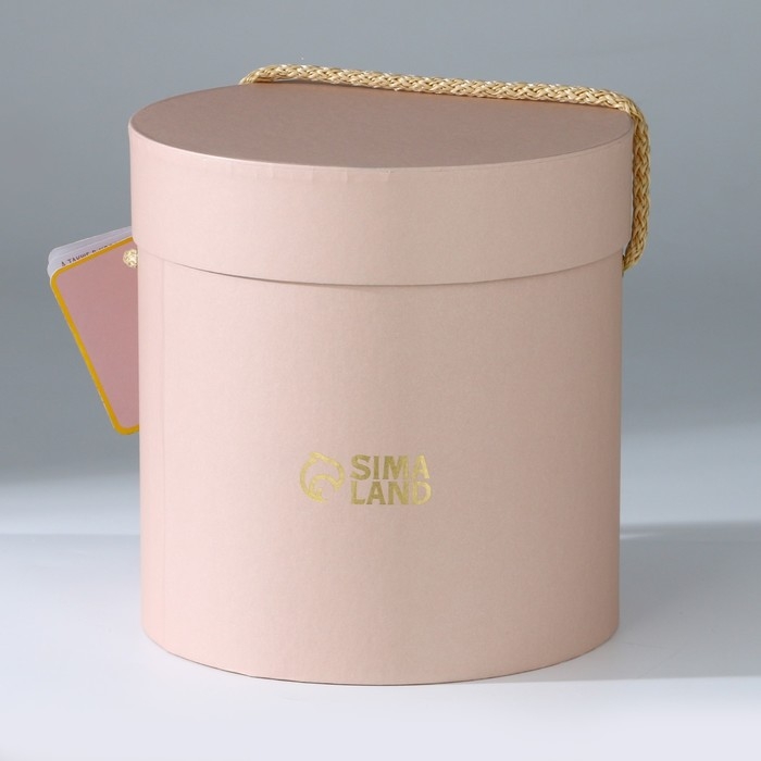 Мягкая игрушка зайка "Космическая Li", заяц