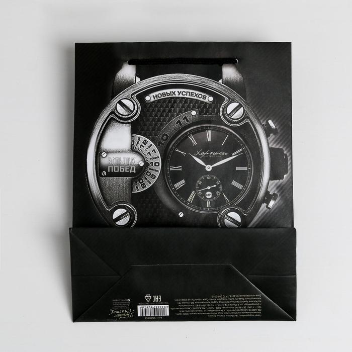 Пакет подарочный ламинированный вертикальный, упаковка, &laquo;Мужская элегантность&raquo;, M 25.5 х 30 х 9 см