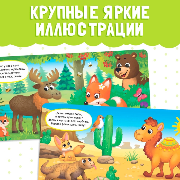 Картонная книга &laquo;Животные со всего света&raquo;, 10 стр.