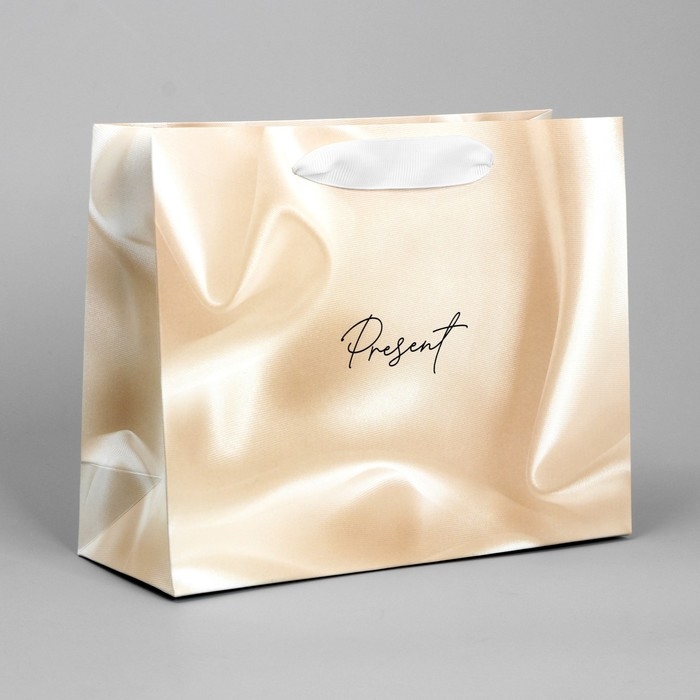 Пакет подарочный, упаковка, &laquo;Present&raquo;, 22 х 17.5 х 8 см
