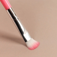 Набор кистей для макияжа &laquo;Нежность&raquo;, 5 предметов, цвет розовый