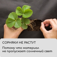 Материал мульчирующий, с перфорацией (4 ряда), 20 &times; 1,6 м, плотность 80 г/м&sup2;, спанбонд с УФ-стабилизатором, чёрный, Greengo, Эконом 30%