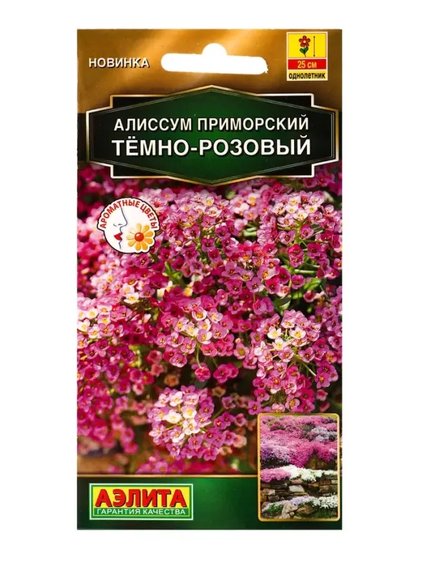 Семена цветов Алиссум приморский Тёмно-розовый  Золотая серия, Ц/П,0,1 г