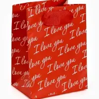 Пакет ламинированный Love you, 9 &times; 12 &times; 6,5 см