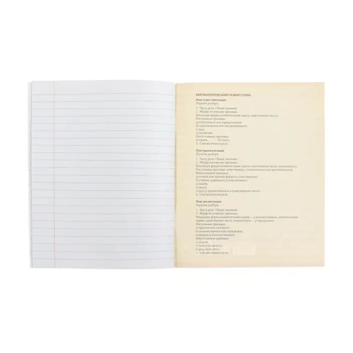 Тетрадь предметная 48 листов в клетку Calligrata, &laquo;Футбол. Русский язык&raquo;, обложка мелованный картон, серые листы