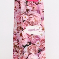 Пакет подарочный под бутылку,"Поздравляю",13 &times; 32 &times; 11,3 см