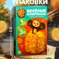ЧЕБУРАШКА Набор для опытов "Веселые кристаллы", Чеба