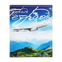 Тетрадь 48 листов в клетку Calligrata &laquo;Самолеты&raquo;, обложка мелованный картон, блок №2, белизна 75% (серые листы), МИКС