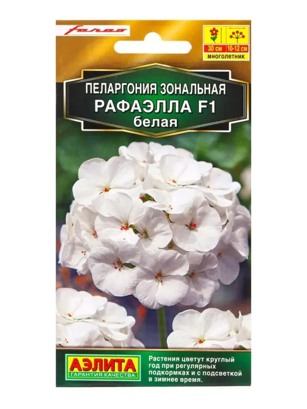 Семена цветов Пеларгония Рафаэлла F1 белая Мн С. Farao Золотая серия, Ц/П,5 шт.