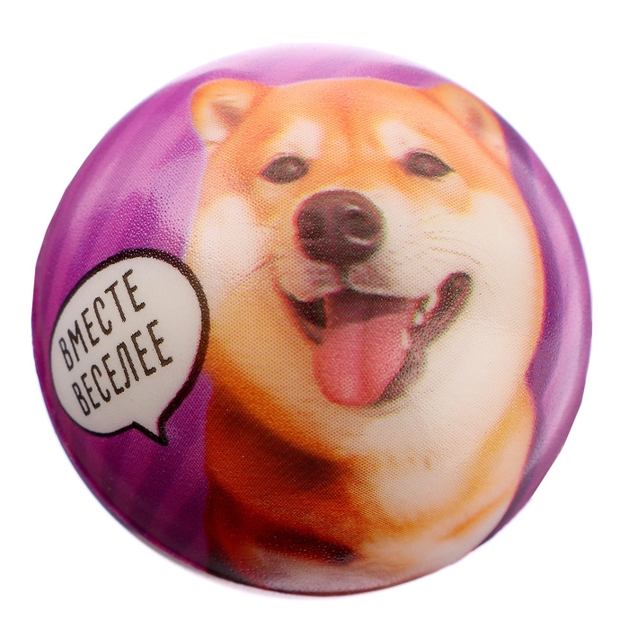 Мяч детский мягкий &laquo;Играй с друзьями&raquo;питомцы 4,5 см , в шоубоксе