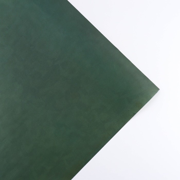 Бумага упаковочная двухсторонняя крафтовая &laquo;Цветочная&raquo;, 70 х 100 см