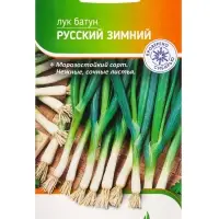 Семена Лук батун "Русский зимний" 1 г