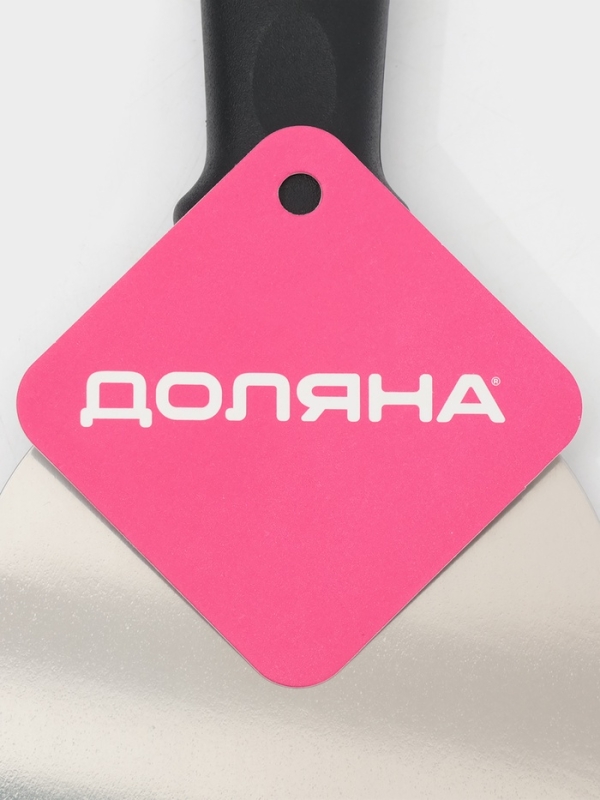 Лопатка-скребок, ручка пластик 21,5х10 см