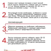 Семена Петрушка "Итальянский богатырь", 1 г