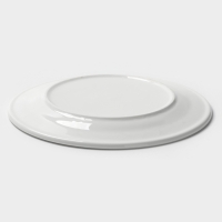 Тарелка с бортом d=24 см