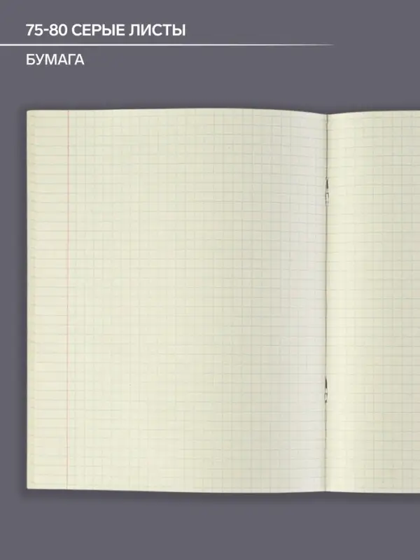 Тетрадь предметная 48 листов в клетку Calligrata, &laquo;Чёрное-белое. География&raquo;, обложка мелованная бумага, серые листы