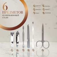 Набор маникюрный &laquo;Paris&raquo;, 6 предметов, в футляре, в PVC - пакете, рисунок МИКС