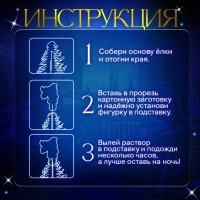 Новый год! Набор для опытов &laquo;Чудесные кристаллы: Волшебник&raquo;