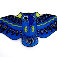 Воздушный змей &laquo;Сова&raquo;, с леской, МИКС