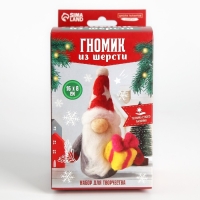 Валяние из шерсти на новый год. Игрушка своими руками &laquo;Гномик с подарком&raquo;, новогодний набор для творчества