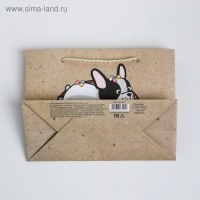 Пакет подарочный, упаковка, &laquo;Вкусняшка&raquo;, 19,5 х 14,5 х 8,5 см