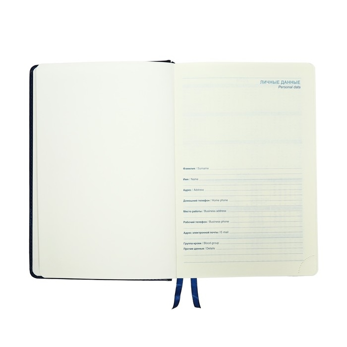 Ежедневник датированный 2025 года, A5, 168 листов в линейку, кожзам "Небраска", серебряный срез, синий