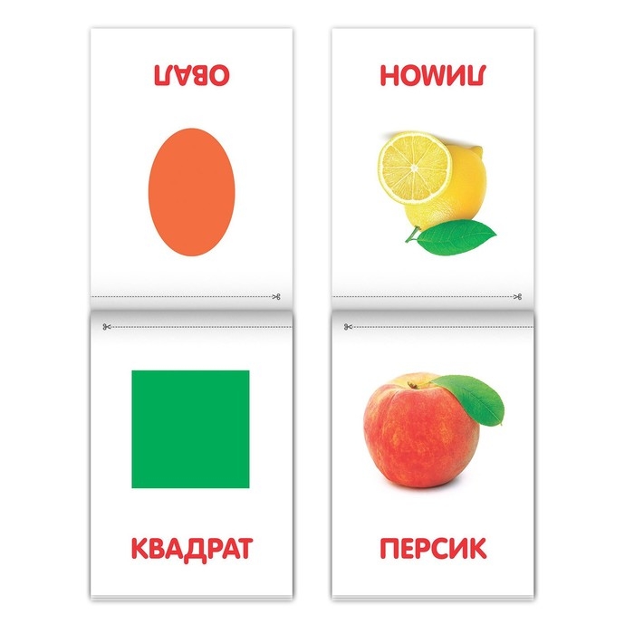 Книги &laquo;Карточки Домана на скрепке&raquo;, набор, 8 шт. по 20 стр.