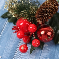 Декор "Зимние грезы" яблоки ягоды шишка веточка со снегом, 15 см