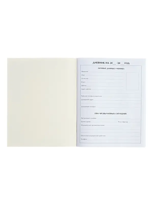 Дневник школьный для 1-11 классов, &laquo;Кеды&raquo;, мягкая обложка, 40 листов