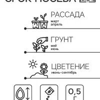 Семена цветов Душистый горошек "Шоколадный крем", 0,5 г