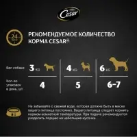 Влажный корм Cesar для собак, паштет с ягнёнком, пауч, 80 г