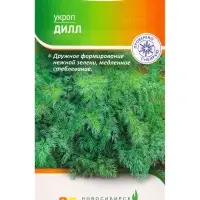 Семена Укроп "Дилл" 1 г