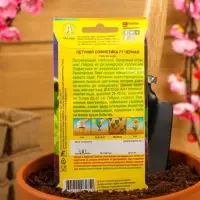 Набор семян Петуния Софистика черная F1 крупноцветковая, 4 шт., 2 шт.