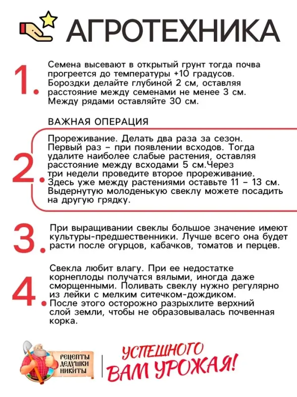 Семена Свёкла "Мулатка", 2 г