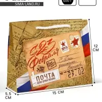 Пакет подарочный ламинированный &laquo;С 23 февраля&raquo;, S 12 х 15 х 5.5 см