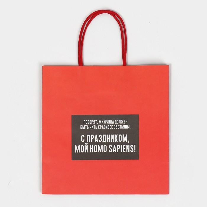 Пакет подарочный, упаковка, &laquo;Обезьяна&raquo;, 22 х 22 х 11 см