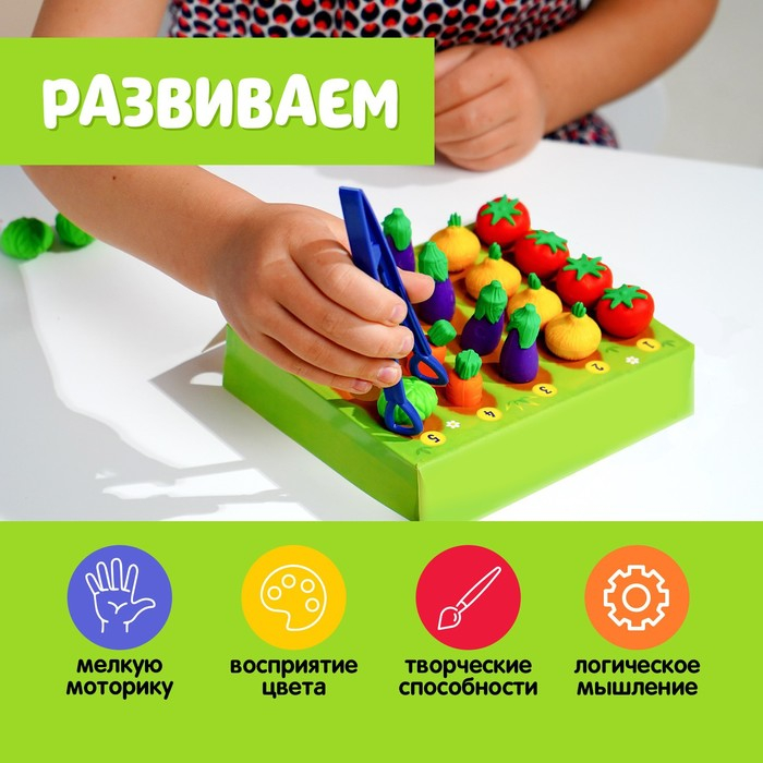Развивающий набор &laquo;Любимый огород&raquo;