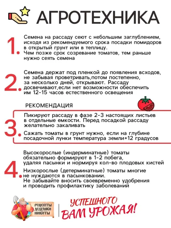 Семена Томат &laquo;Верлиока&raquo;, индетерминатный, высокорослый, 0.05 г