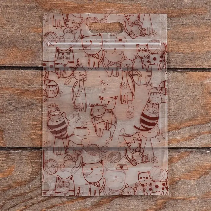 Пакет подарочный, с zip - lock застежкой, 15&times;23 см