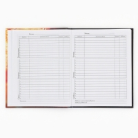 Дневник школьный 1-4 класса, в твердой обложке, 48 л &laquo;Футбольный мяч&raquo;