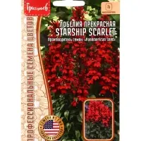 Семена цветов Лобелия Starship Scarlet  3 драже  12.29 г.