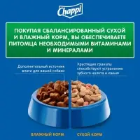 Сухой корм Chappi для собак, с говядиной по-домашнему, 600 г
