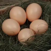 Яйцо искусственное подкладное, для кур, 4&times;5 см, 1 шт., коричневое, Greengo