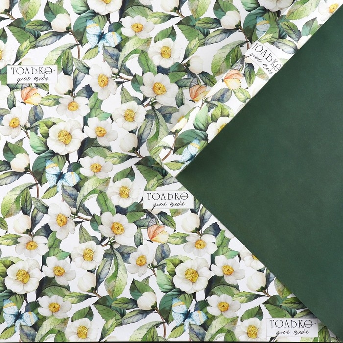 Бумага упаковочная двухсторонняя крафтовая &laquo;Цветочная&raquo;, 70 х 100 см